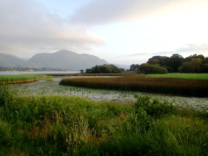 Wie aus einem Märchenbuch - der Lake Killarney