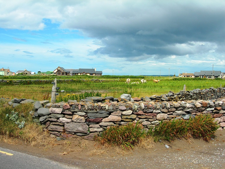 Kühe und Schafe gibt es mehr als Einwohner in Irland