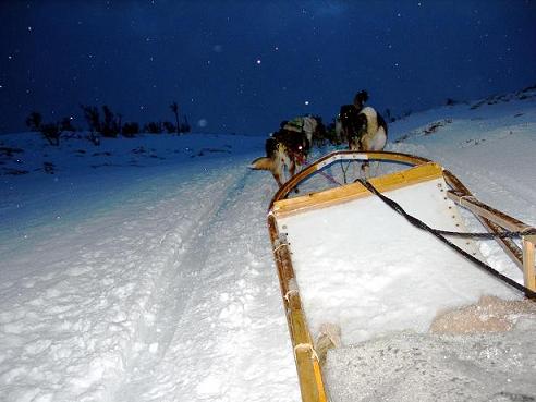 Mit den Huskies in die Nacht